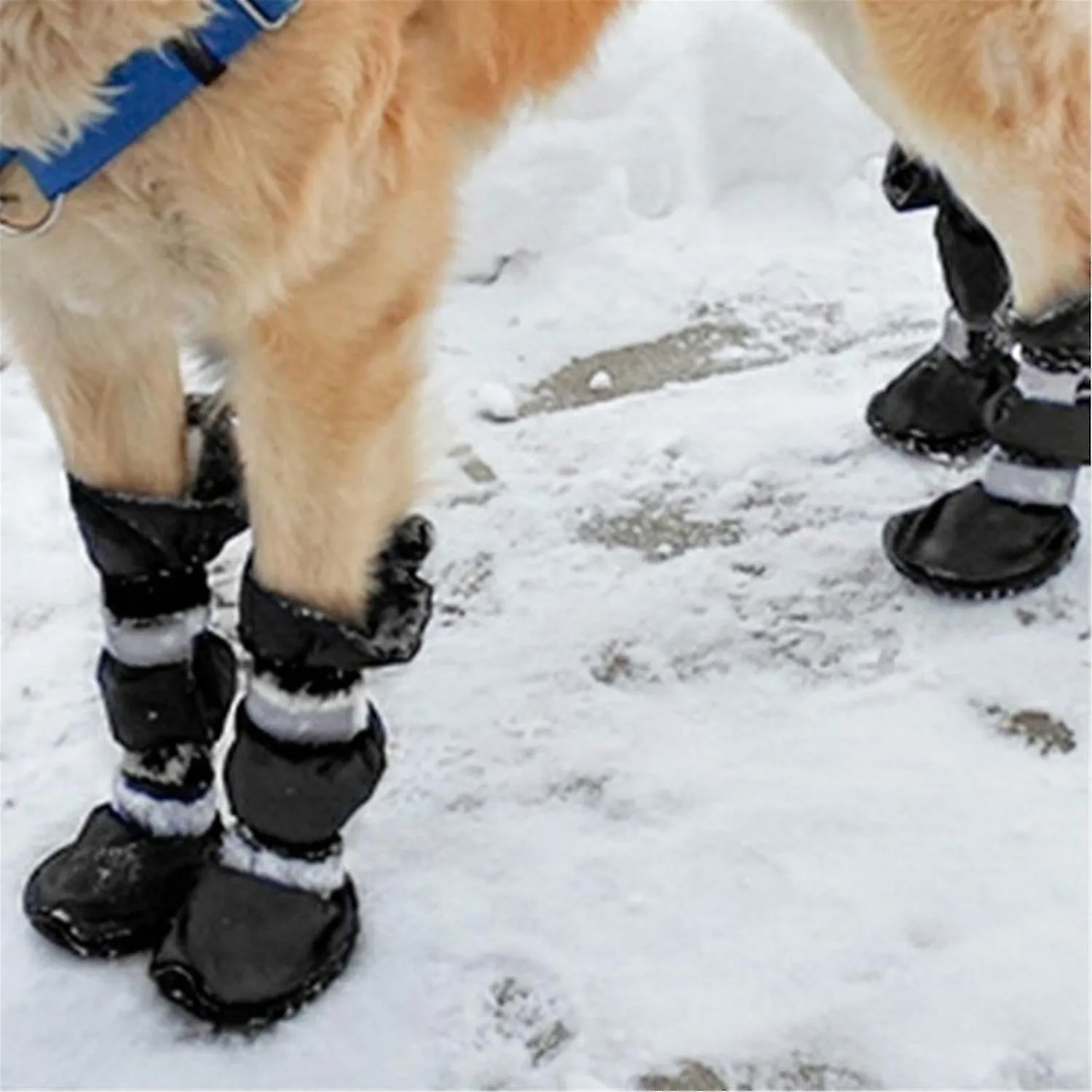 2-pair Dog Rain Snow Boots Pet Winter Shoes Skid-proof Soles Outdoor Booties