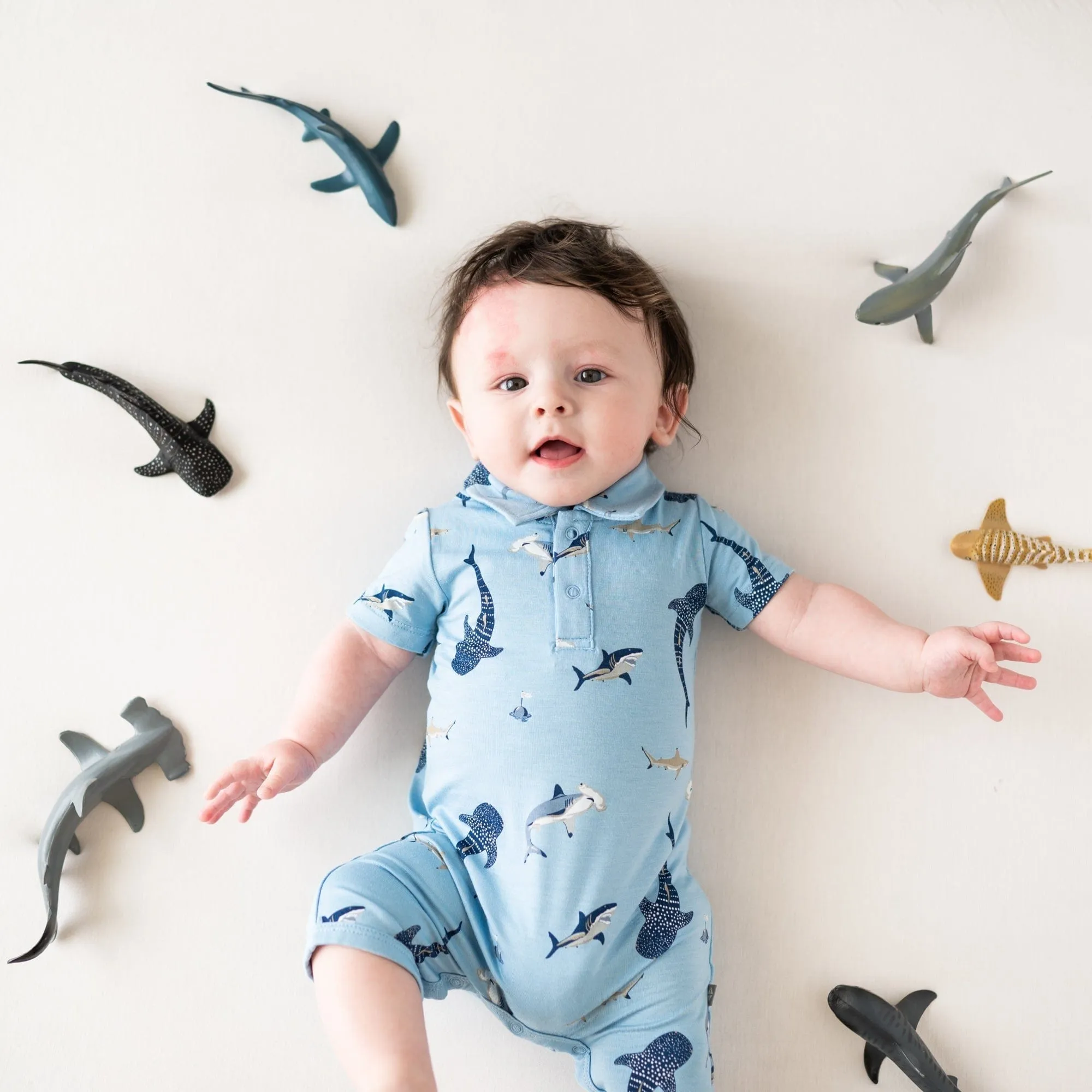 Polo Shortall in Stream Shark