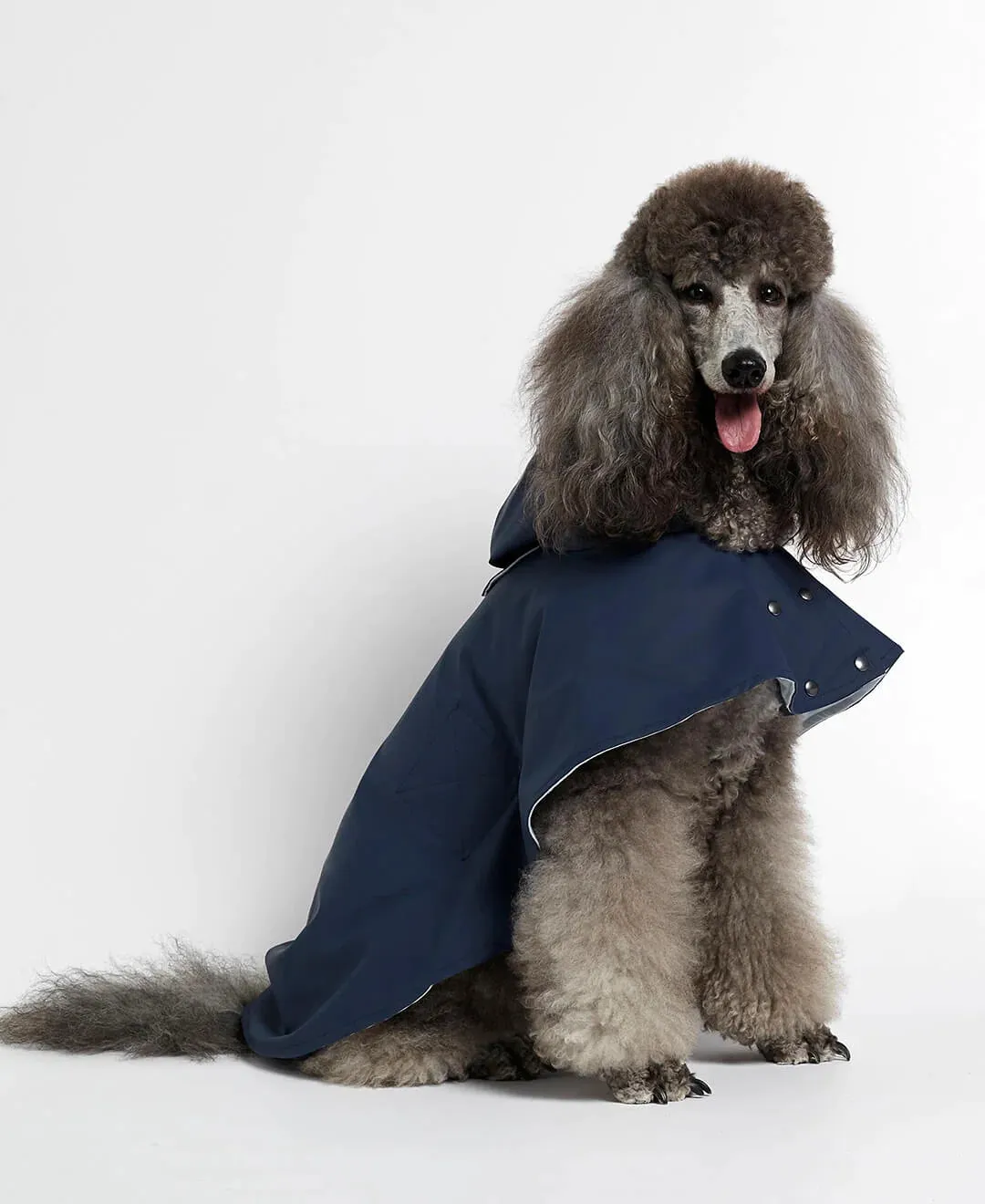 William Navy Waterproof Dog Rain Cape