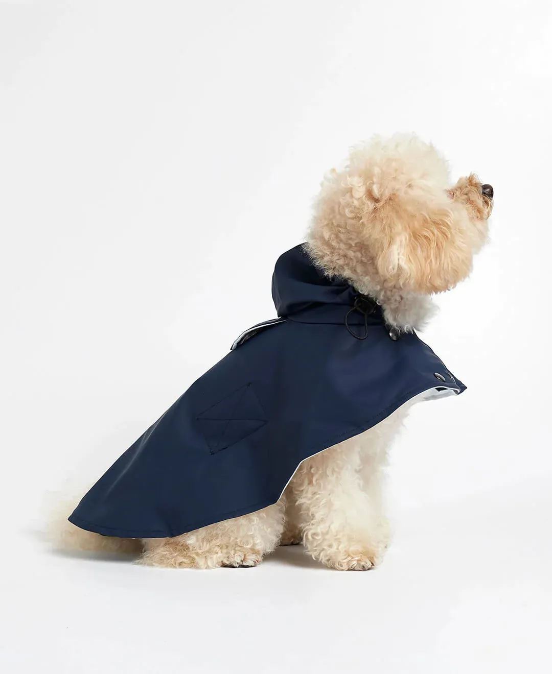 William Navy Waterproof Dog Rain Cape